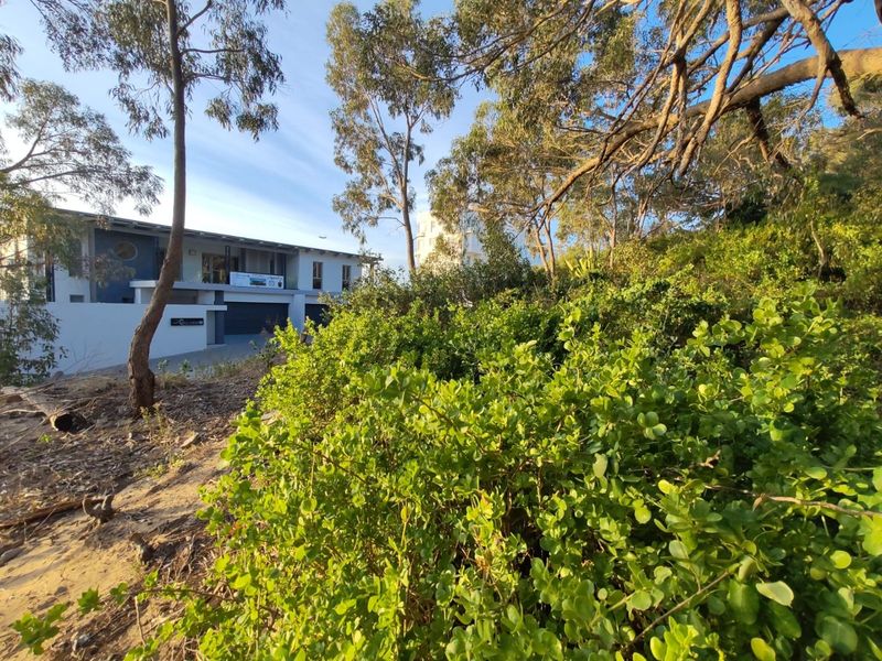 BUY LAND NOW THEY DONT MAKE IT,  WITH VIEWS ANYMORE - Photo 2