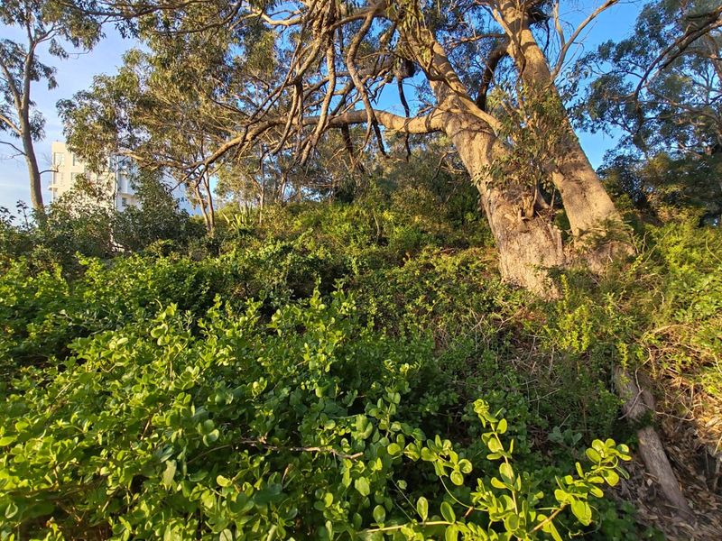 BUY LAND NOW THEY DONT MAKE IT,  WITH VIEWS ANYMORE - Photo 9