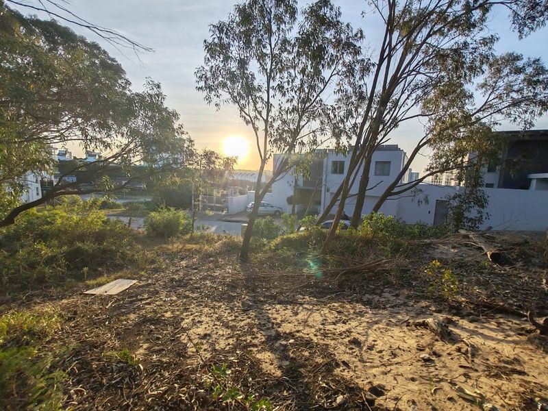 BUY LAND NOW THEY DONT MAKE IT,  WITH VIEWS ANYMORE - Photo 5