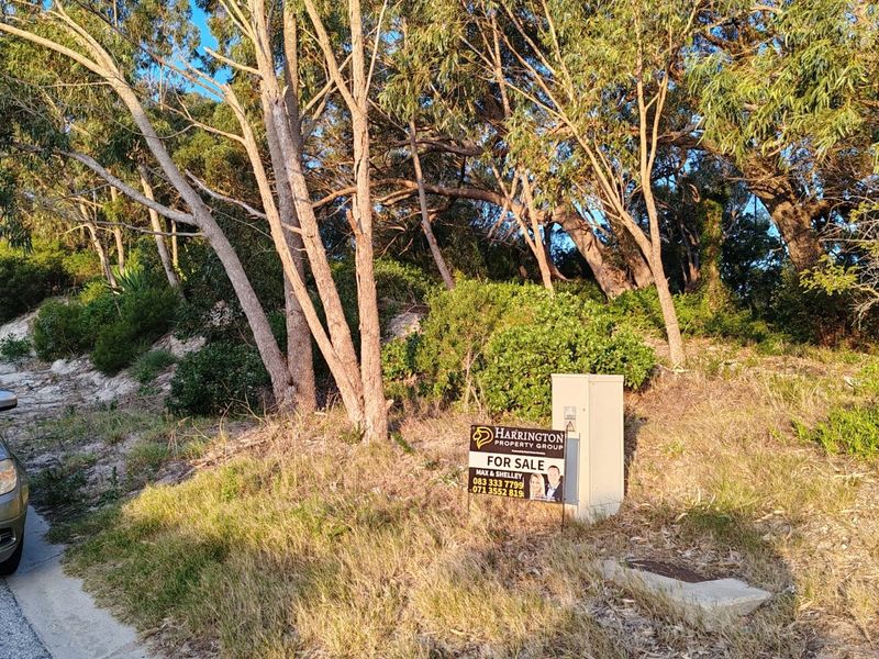 BUY LAND NOW THEY DONT MAKE IT,  WITH VIEWS ANYMORE - Photo 8