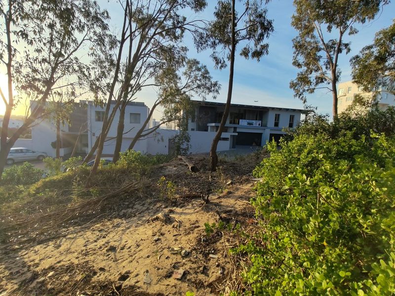 BUY LAND NOW THEY DONT MAKE IT,  WITH VIEWS ANYMORE - Photo 7
