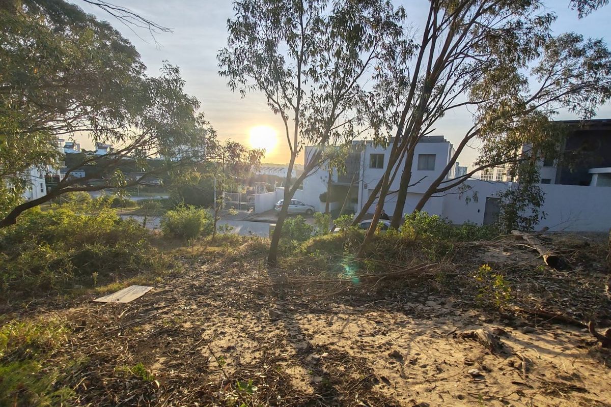 A view of a vacant residential plot featuring natural sandy terrain and established trees, looking towards neighboring residential properties at sunset.