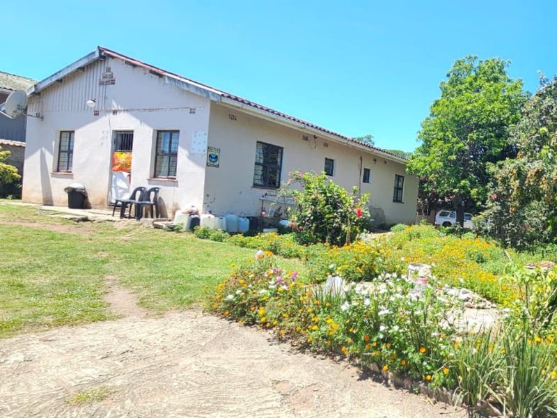 Opportunity Awaits in a Tranquil Setting - Photo 2