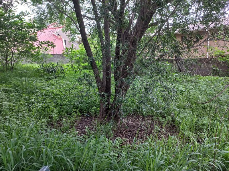 Stunning Vacant Land ,,With Water And Electricity Connection Fully Fenced - Photo 5