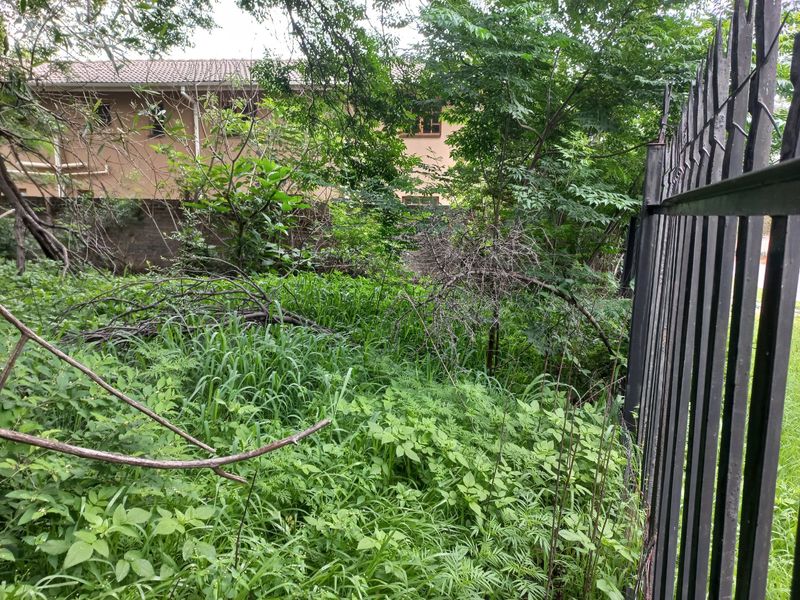 Stunning Vacant Land ,,With Water And Electricity Connection Fully Fenced - Photo 10