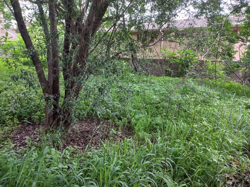 Stunning Vacant Land ,,With Water And Electricity Connection Fully Fenced - Photo 7