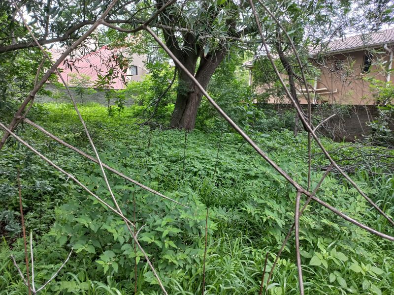 Stunning Vacant Land ,,With Water And Electricity Connection Fully Fenced - Photo 8