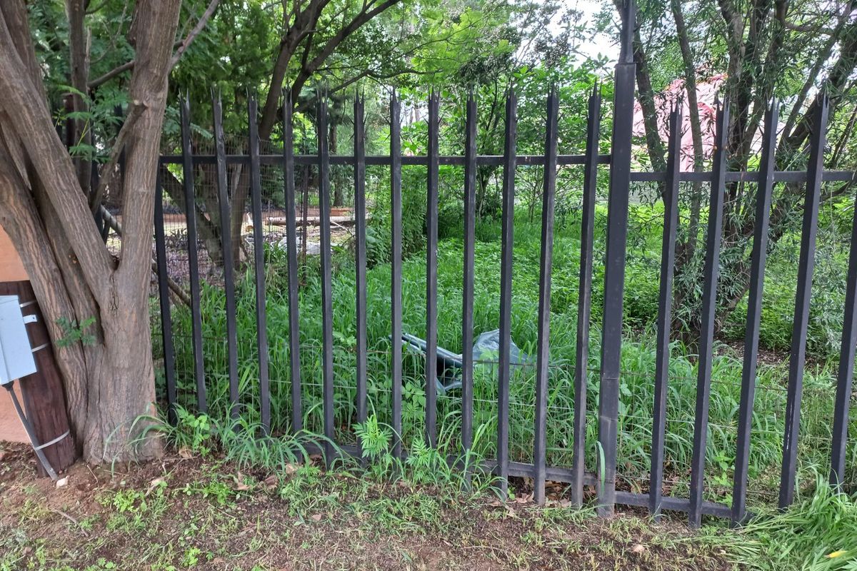 A view of a residential garden area featuring a metal spike security fence and mature trees, currently requiring maintenance due to overgrown vegetation.