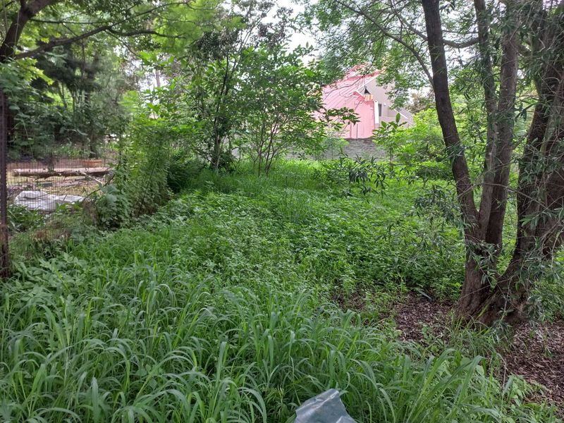 Stunning Vacant Land ,,With Water And Electricity Connection Fully Fenced - Photo 1