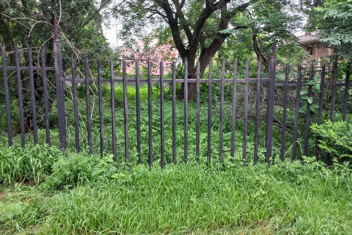 A view of the rear boundary featuring metal palisade fencing surrounded by mature trees and dense, overgrown vegetation.