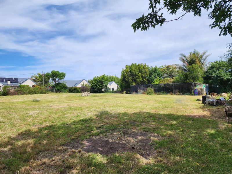 A Rare Gem - vacant land for sale in the Heart of Hoekwil. - Photo 7