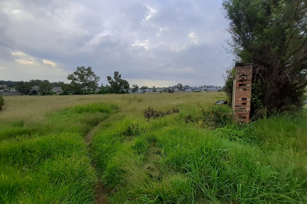 Well located land with 4 Dwellings - opportunity for a business owner - Photo 4