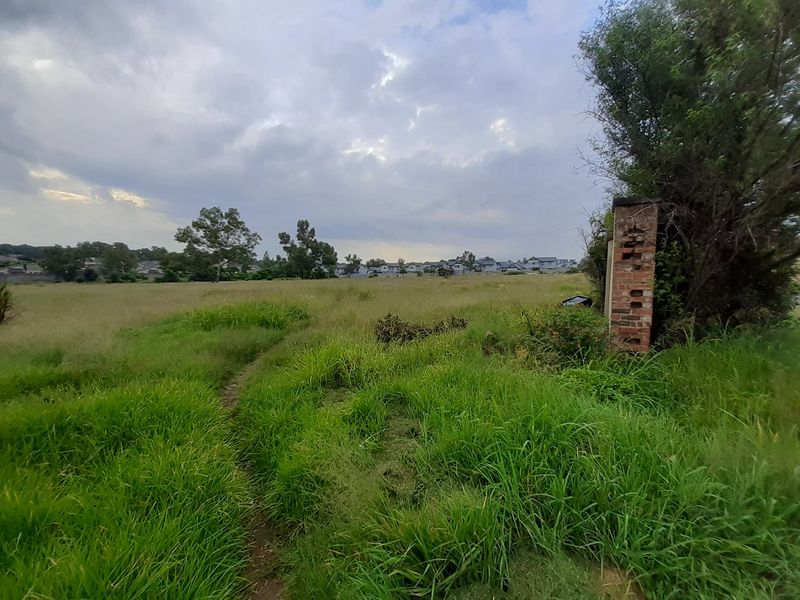 Well located land with 4 Dwellings - opportunity for a business owner - Photo 4