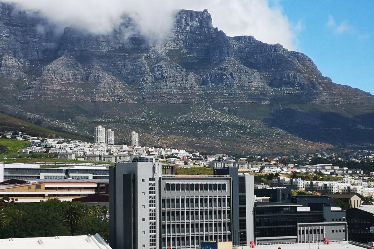 INNER CITY INVESTMENT WITH NO TRANSFER DUTY - Photo 2