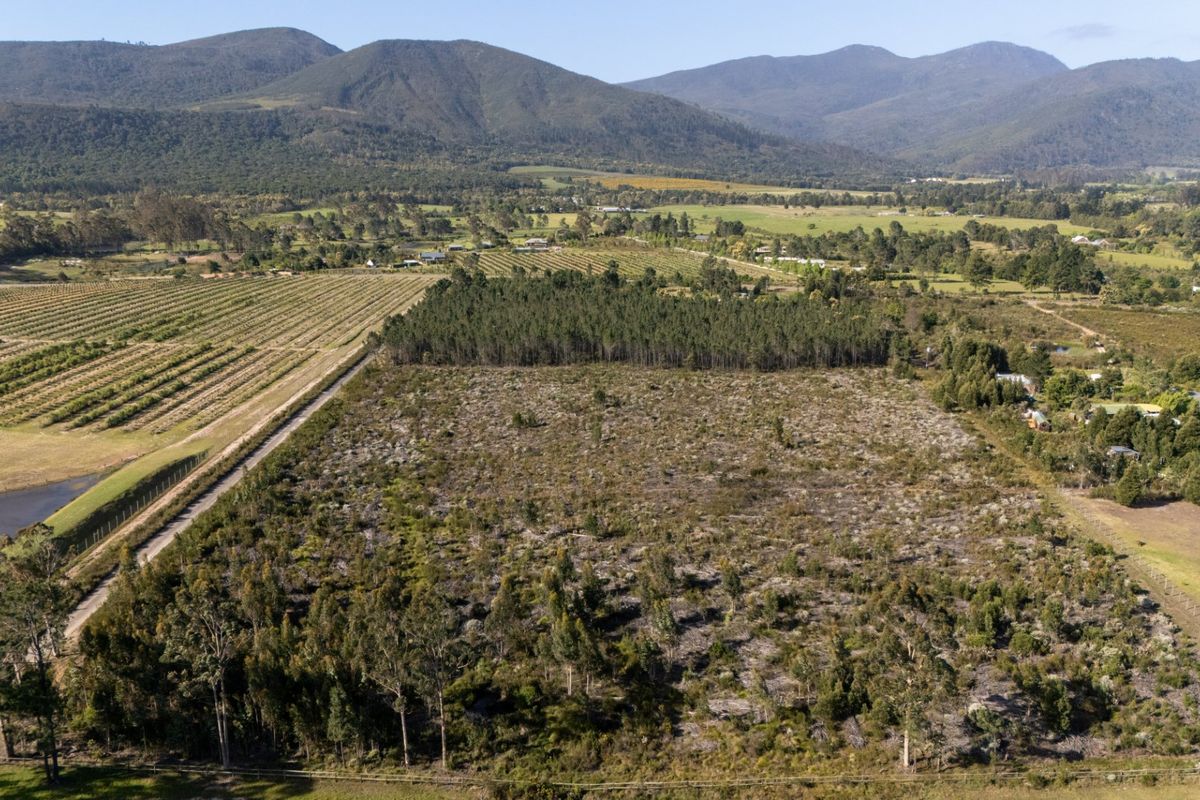 Crags - Redford Rd - Countryside Property  - Photo 2