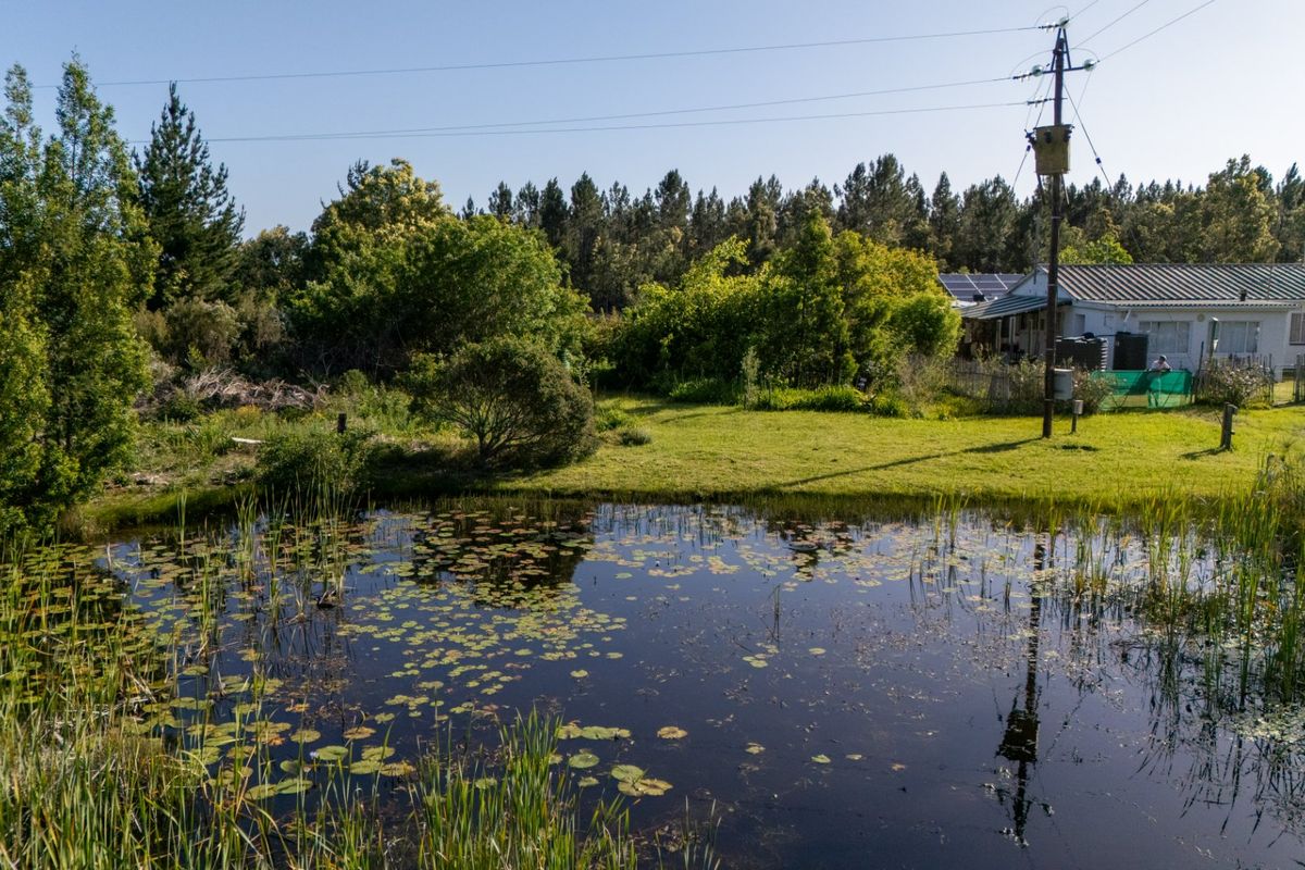 Crags - Redford Rd - Countryside Property  - Photo 4