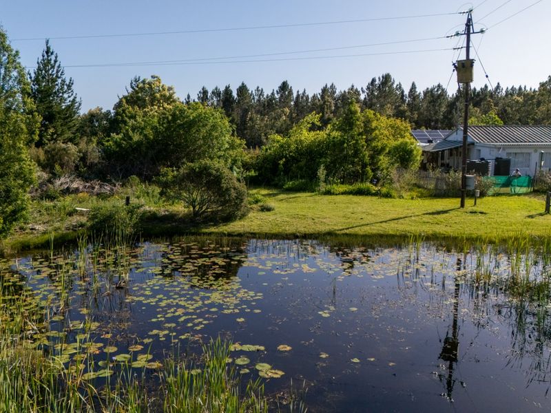 Crags - Redford Rd - Countryside Property  - Photo 4