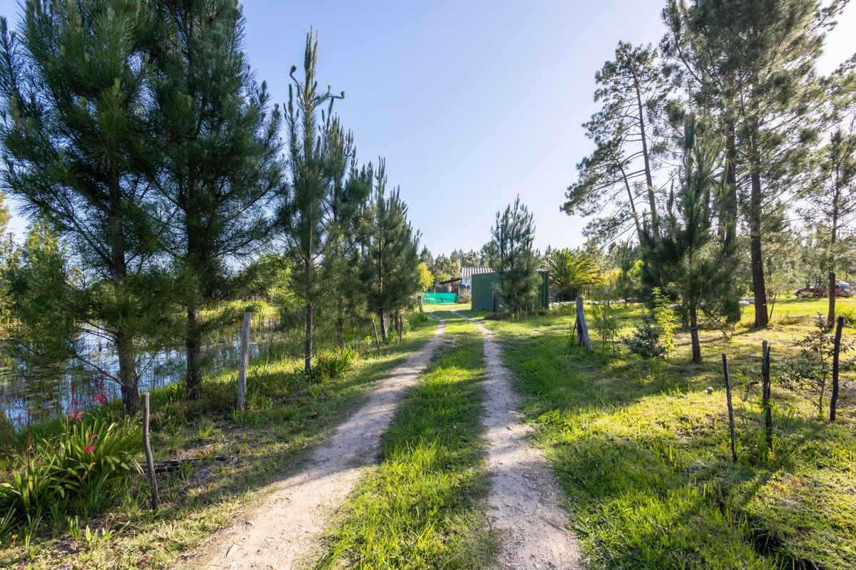 Crags - Redford Rd - Countryside Property  - Photo 3