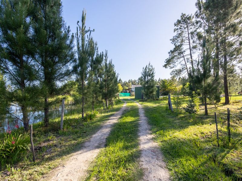 Crags - Redford Rd - Countryside Property  - Photo 3