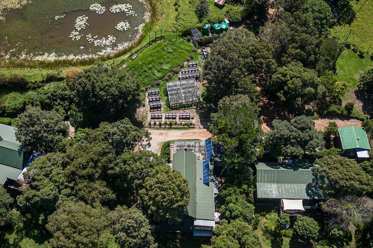 Home on Indigenous Forest Fringe - Photo 2