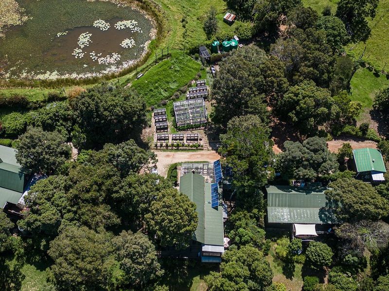 Home on Indigenous Forest Fringe - Photo 2