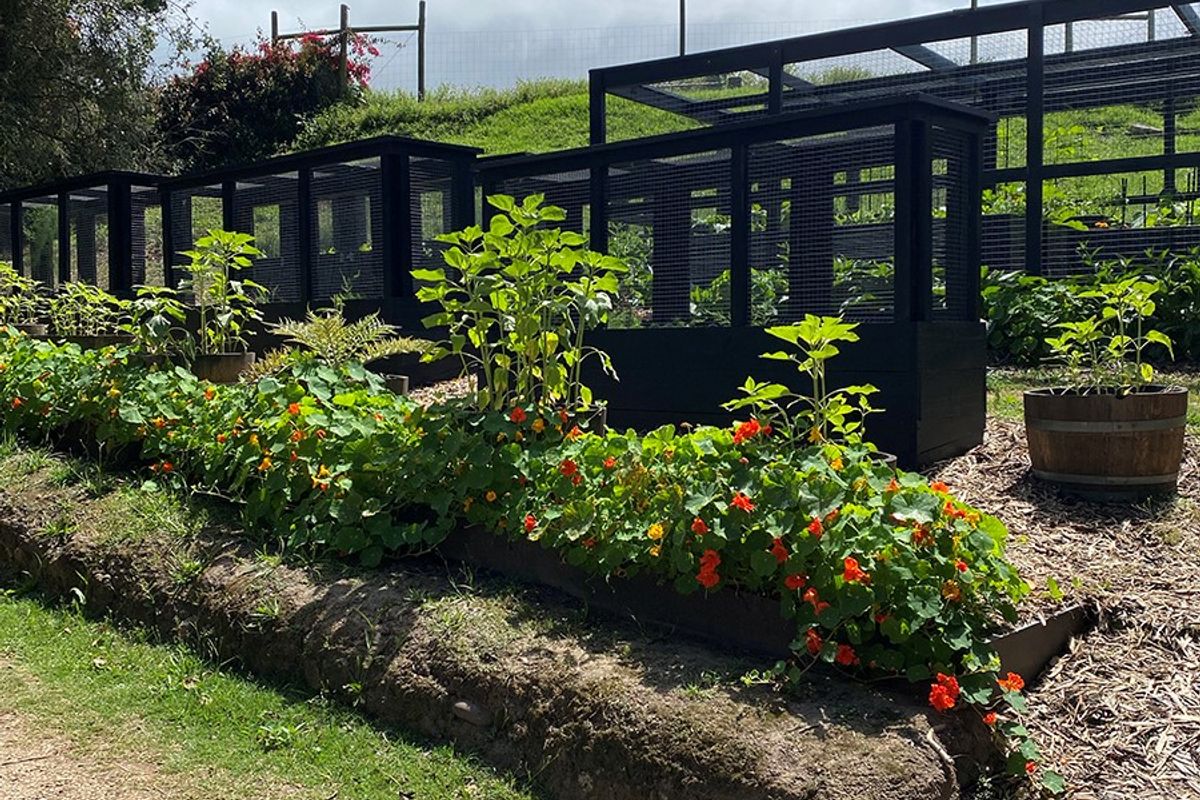 Home on Indigenous Forest Fringe - Photo 3