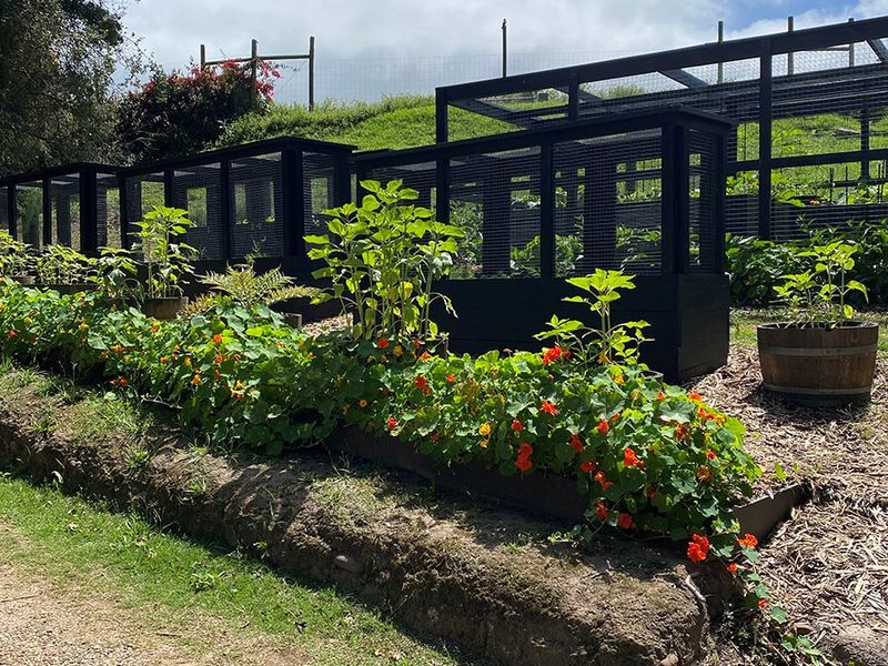 Home on Indigenous Forest Fringe - Photo 3