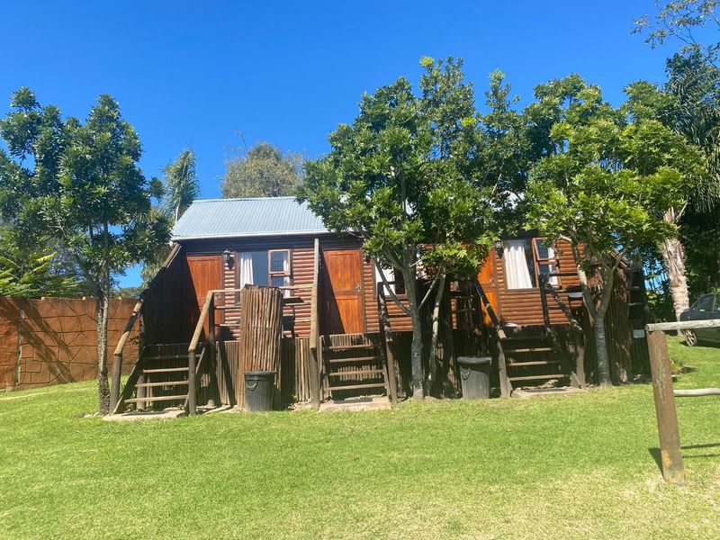 Accommodation Facility bordering Harkerville Forest - Photo 5