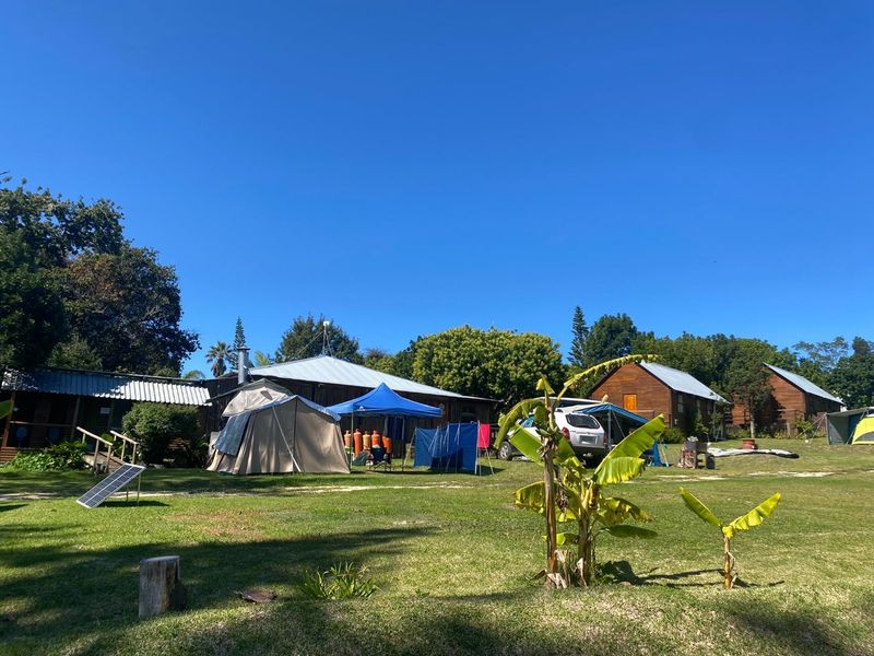Accommodation Facility bordering Harkerville Forest - Photo 6