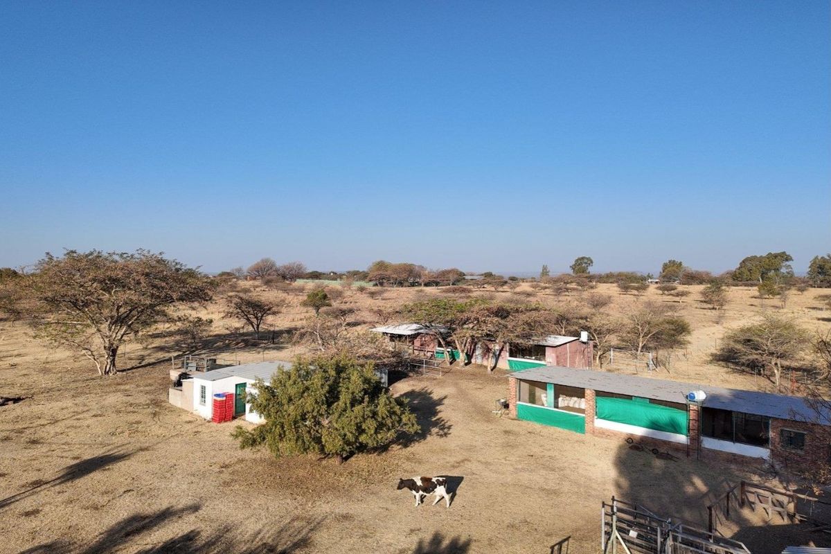 8.58ha Chicken & Cattle farm, in Grootvlei for only R19.94/m2 - Photo 3