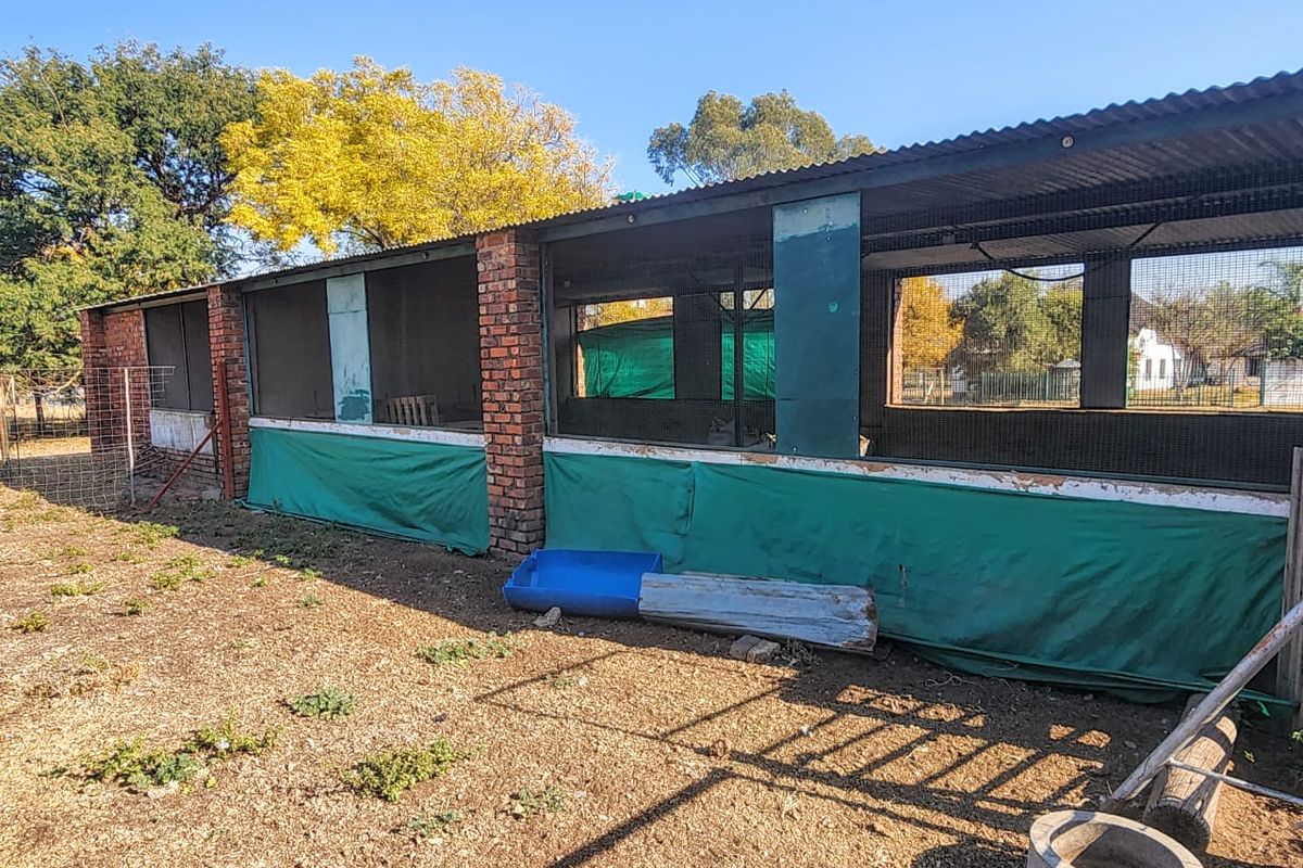 8.58ha Chicken & Cattle farm, in Grootvlei for only R19.94/m2 - Photo 2