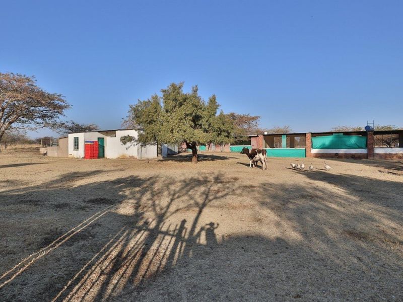 8.58ha Chicken & Cattle farm, in Grootvlei for only R19.94/m2 - Photo 10