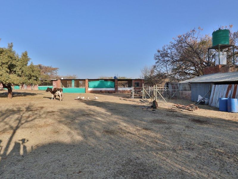 8.58ha Chicken & Cattle farm, in Grootvlei for only R19.94/m2 - Photo 9