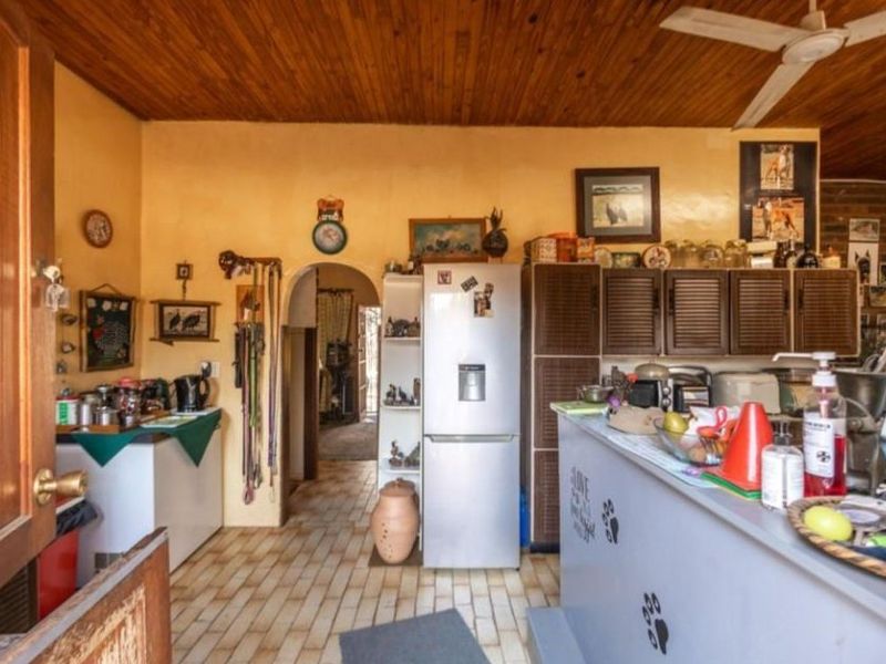 Off-Grid Bushveld Bliss with Solar, Boreholes & Space to Grow — Just 30km from Annlin - Photo 8