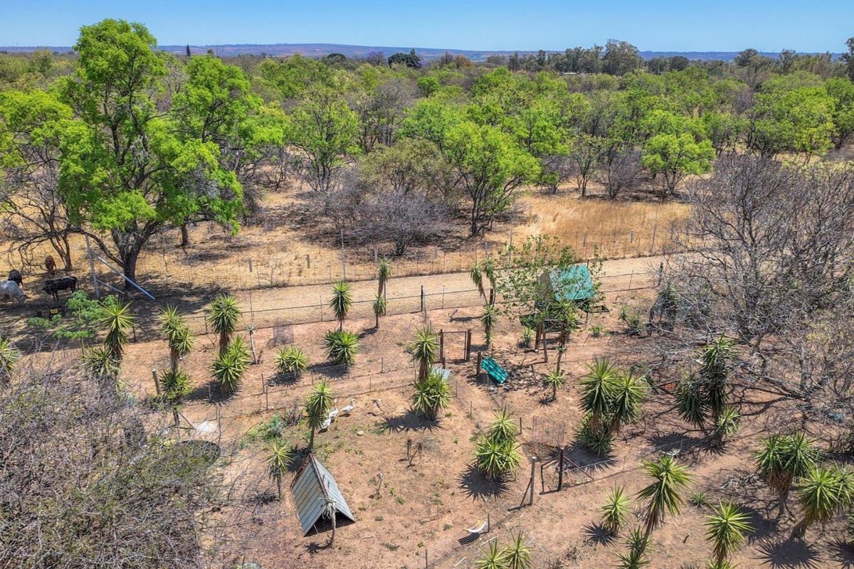 9.13 ha Plot in Grootvlei - Photo 5