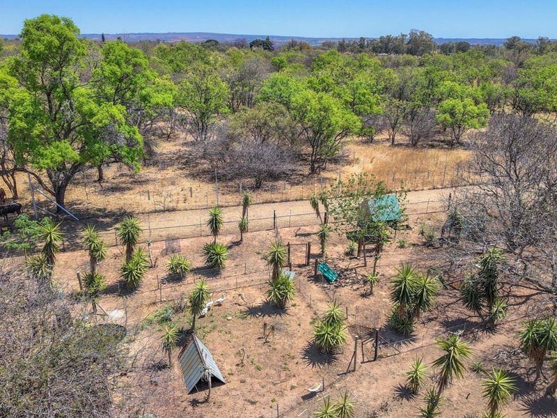 9.13 ha Plot in Grootvlei - Photo 5