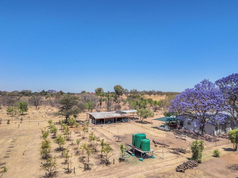 9.13 ha Plot in Grootvlei - Photo 10