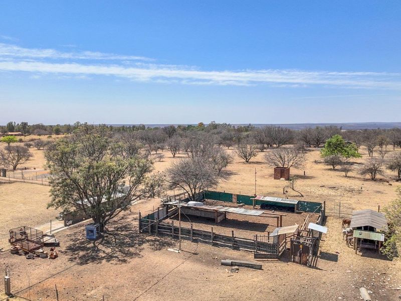 9.13 ha Plot in Grootvlei - Photo 9