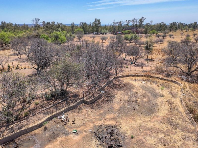 9.13 ha Plot in Grootvlei - Photo 6