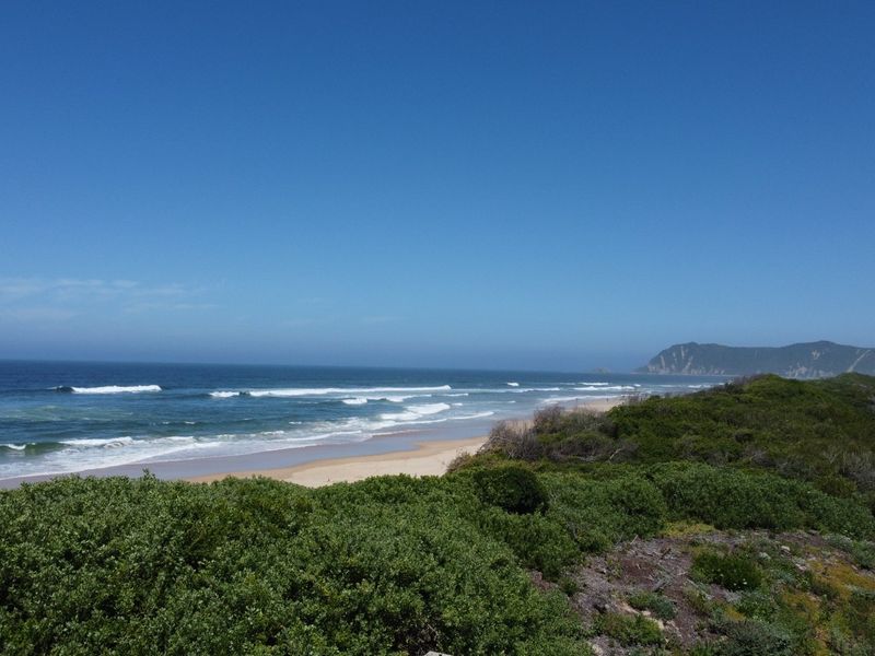 An expansive multiliving home right on the beachfront - Photo 7