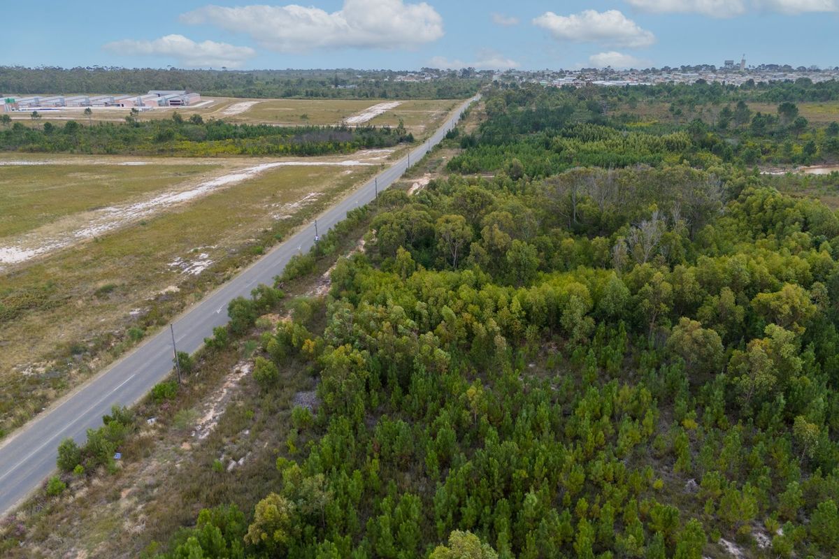 6.6 Hectares of Potential - Photo 2