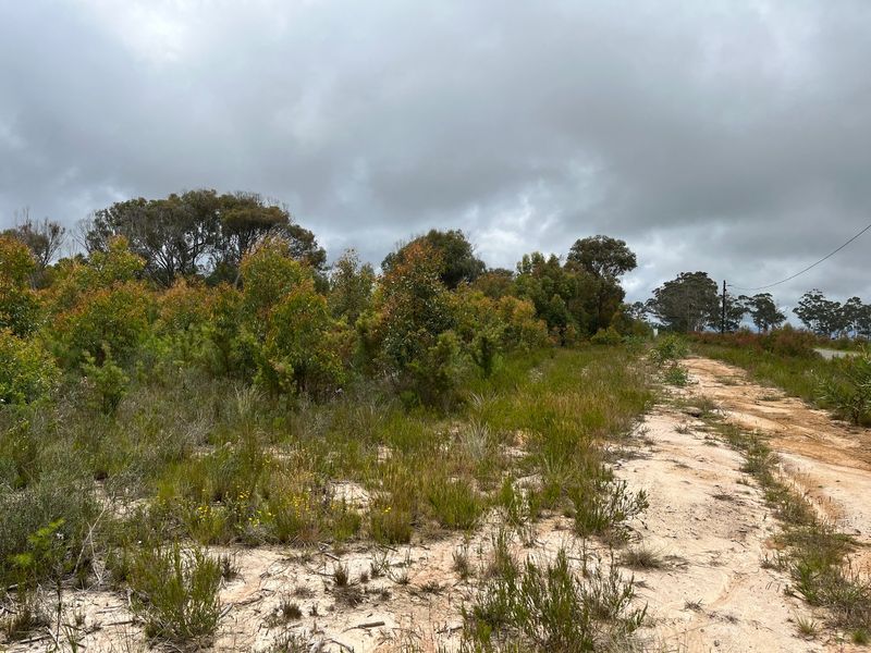 6.6 Hectares of Potential - Photo 10