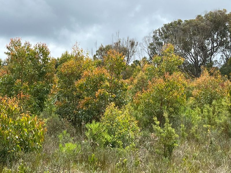 6.6 Hectares of Potential - Photo 8