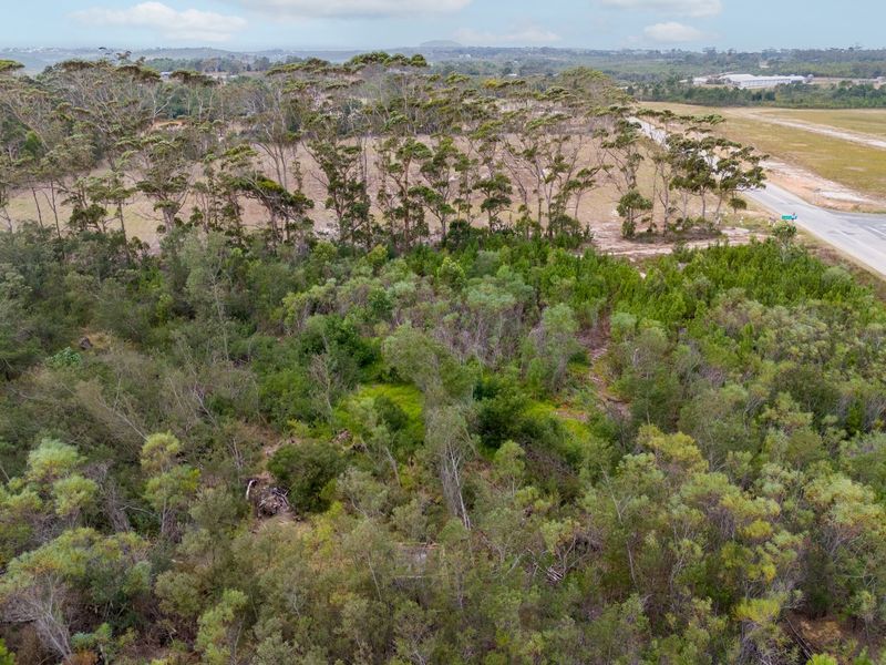 6.6 Hectares of Potential - Photo 3