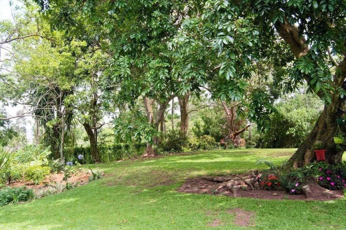 Beautiful Farm Style Home with an Expansive Garden! - Photo 5