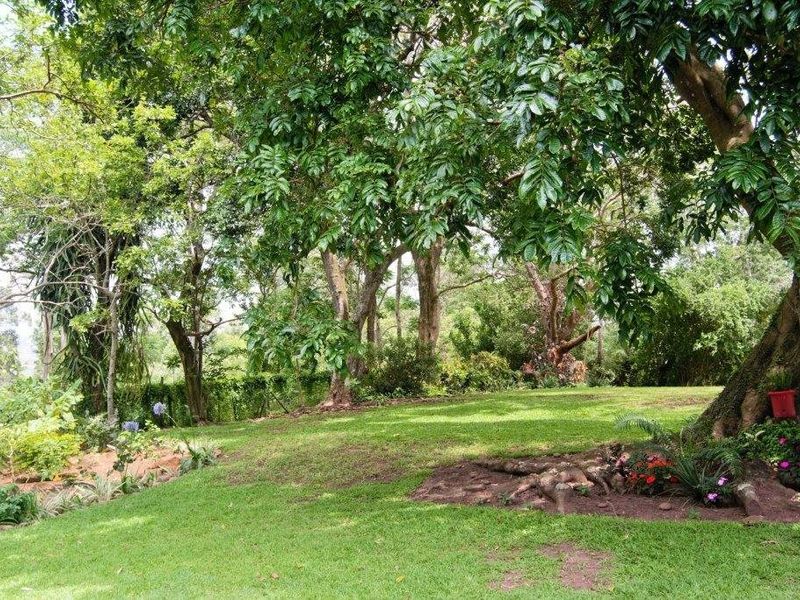 Beautiful Farm Style Home with an Expansive Garden! - Photo 5