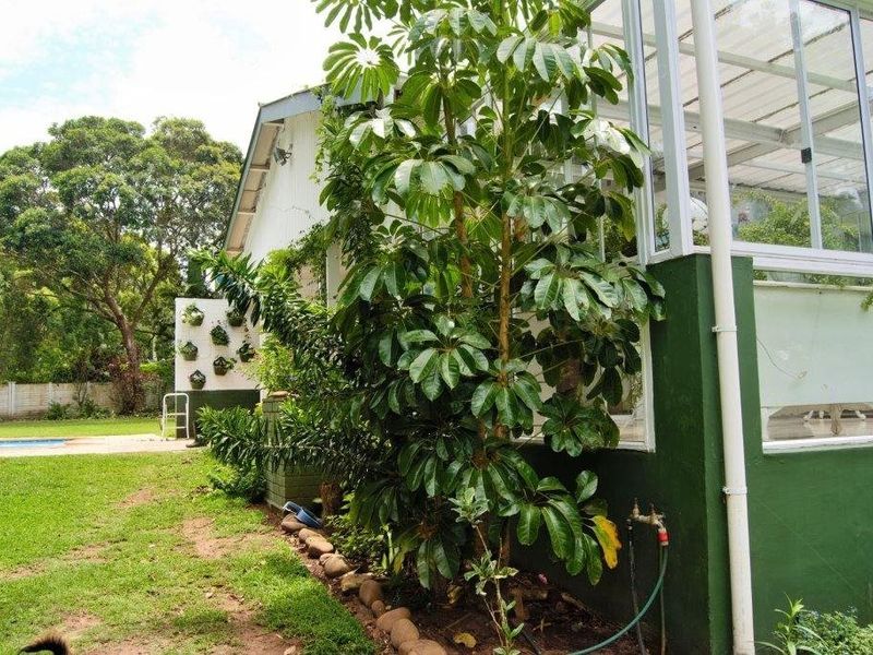 Beautiful Farm Style Home with an Expansive Garden! - Photo 6