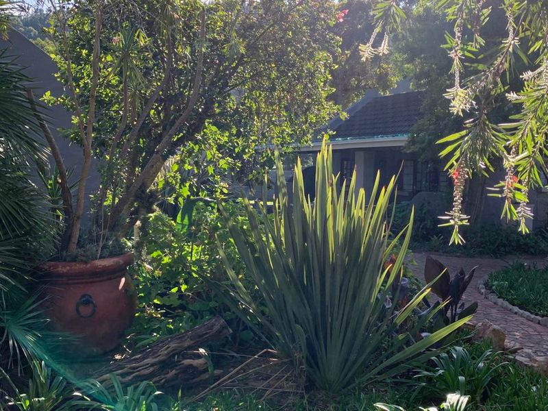 The Sedgefield Arms – A Rare Investment in the Heart of the Village - Photo 8