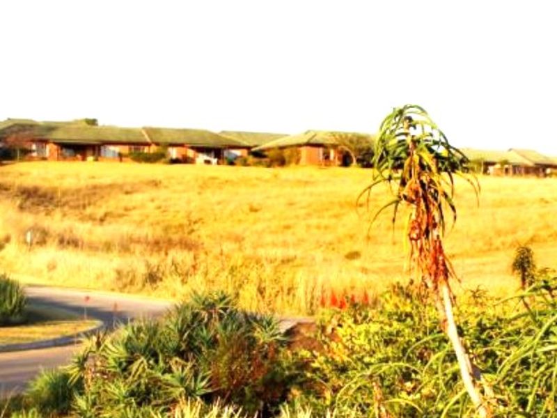 A scenic view of the estate entrance featuring a paved road, landscaped verge with aloe plants, and distant residential buildings.
