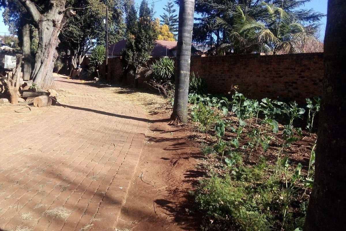 Huge stand, in the upmarket suburb of Bedford View on the Busy and Famous road Van Buuren Road. - Photo 3